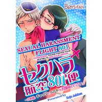 Sexual Harassment Flight 801 Passengers, Please Fasten Your Seatbelts and Your Zippers-